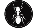 Ants